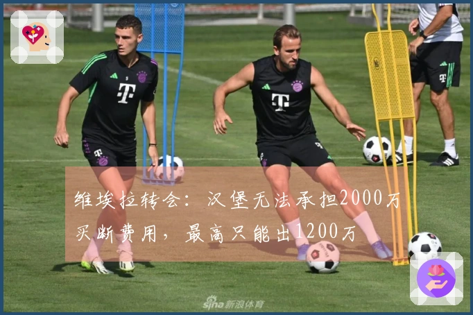 维埃拉转会：汉堡无法承担2000万买断费用，最高只能出1200万