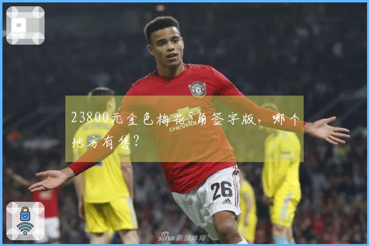 23800元金色梅花5角签字版，哪个地方有售？